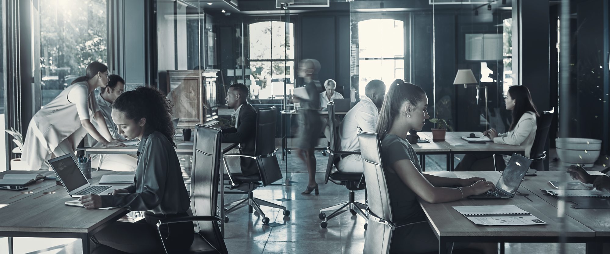 A team working on documents at their desks